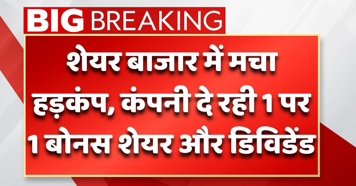 Pidilite Industries Bonus Share & Dividend News